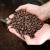 Import Best Arabica Coffee Beans Rich Aroma Arabica Coffee Beans Perfect Choice For Wholesale And Premium Export Orders from South Africa