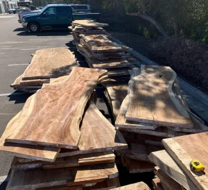 Suar wood slabs ready for your tables