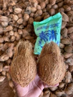 Semi Husked Coconut