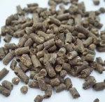 organic fertilizer