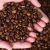 Import Best Arabica Coffee Beans Rich Aroma Arabica Coffee Beans Perfect Choice For Wholesale And Premium Export Orders from South Africa