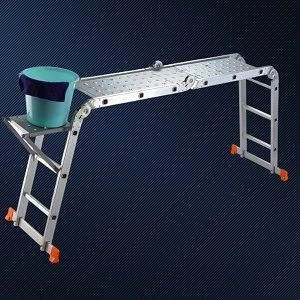 Scaffolding ladder