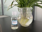 Mosquito and Insect Repellent For Swimming Pool