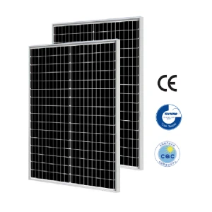 China 40w Solar Panel Sun Cell Power Photovoltaic Renewable Energy Placa Solar Mono Modular Price for Home House