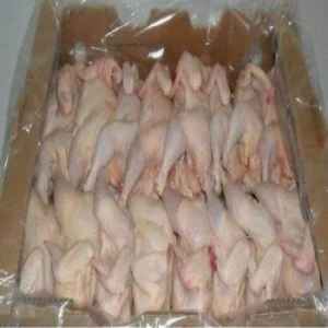 Halal whole frozen chicken for sale