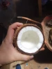 Fresh Mature Coconut Semi-Husked