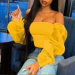 07bf511 fashionable casual solid color long sleeves  see-through crop tops t-shirt women shirts blouse