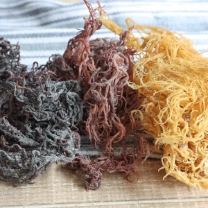 High Quality Purple Irish SeaMoss - Wildcrafted Sea Moss - Raw Dried Sea Moss No Salt/ Salt
