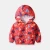 Import Fashion Baby Boy Jacket Sprig Autumn Toddler Boy Winter Coats from Hong Kong