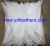 Import Bleached white silver pheasant tail feathers from China