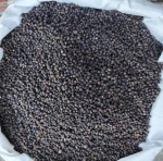 Premium-Quality Black Pepper 550GL Machine Cleaned Whole Corns | Export-Ready Bulk Supply | Stock Available in Tanzania