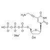 5-ap-2'-dUTP·Na3, 100mM Solution CAS NO. 179101-49-6