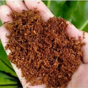 High Quality Cocopeat, Coconut Waste, Dried Coconut Shells