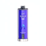 Bulk JNR  Max 22000 Puffs Grape Mint Disposable Vape