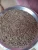 Import Black Wheat Grains from India