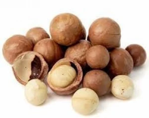 High-Quality Macadamia Nuts in Shell.