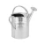 Import 10 Litre Traditional Galvanized Watering Can from China