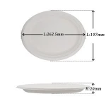 100% biodegradable bagasse food trays dinnerware set, 10 inch sugarcane oval plate