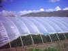 100% new material agricultural blue plastic arched greenhouse film
