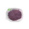 100% pure natural blueberry extract  procyanidine fruit powder to strengthen the eye