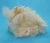 Import 1.5d 38mm soybean fiber fabric for spinning from China