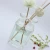 170ml Wholesale High Quality  Home Aroma Difusser man woman perfume glass fragrance oil bottle