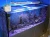 200w top quality 160lm/w coral reef used led aquarium light