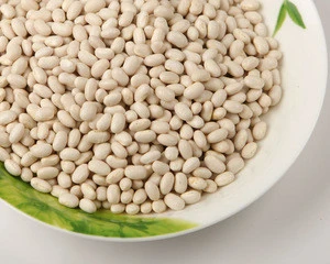 2013 crop Japanese white butter bean/white kidney bean