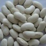 2013 new crop kidney beans dried white kidney beans