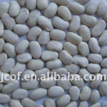 2017 new crop butter bean(712)
