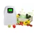 Import 2020 Household water and air ozonator ozone fruit and vegetable purifier from China