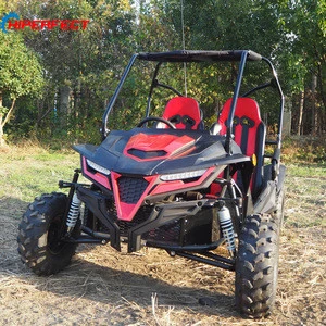 2020 Pedal, off road ,gas powered 2 seat buggy,  adult go kart