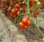 2020 water drip irrigation system design with drip line / garden irrigation system design