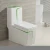 Import 2021 new design factory wholesale washdown wc toilet from China