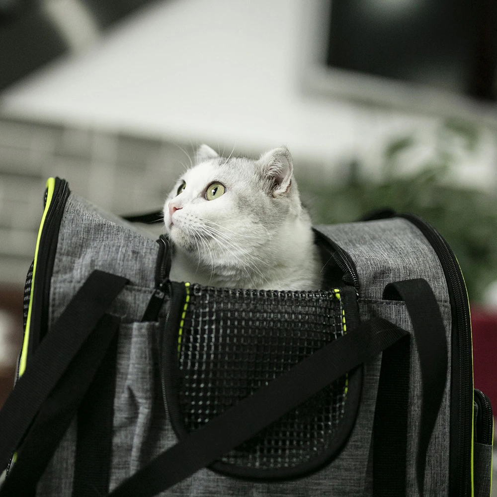 2021 new pets bag travel dog travel bag pet carrier travel dog bag carrier