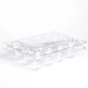 20pcs Quail egg tray Blister packaging Plastic holder with cover Egg Tray