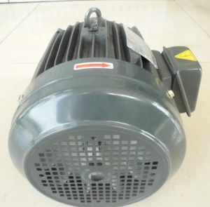 220V/380V 3 Phase AC Electric Motor with Factory Price Wholesale