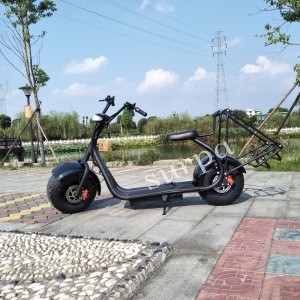 3000w 1500w 2000w  60v12ah/20ah li-on battery removable citycoco fat tire electric golf scooter with golf bag holder