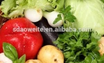 3.3% 1-MCP Microcapsule fresh keeping agent/fruit,vegetable,flower fresh keeping