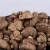 Import 4-6cm High Edible Value Chinese Dried Shiitake Mushroom from China