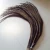 Import 50pcs/Lot 50-55inches reeves pheasant feather from China