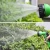 Import 7 Patterns Expandable Magic Watering Spray Gun Multifunctional Garden Hoses from China