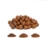 Import 8-16mm Agricultural Growing Media LECA /Clay Pebbles / Ceramsite from China