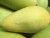 Import A Grade Quality Fresh mango From South Africa from South Africa