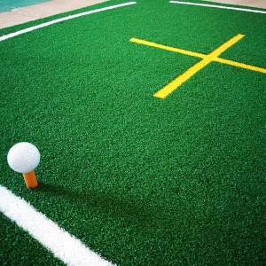 A2 Style Indoor Short Grass Portable Putting Golf Mat Professional Golf Training Mat
