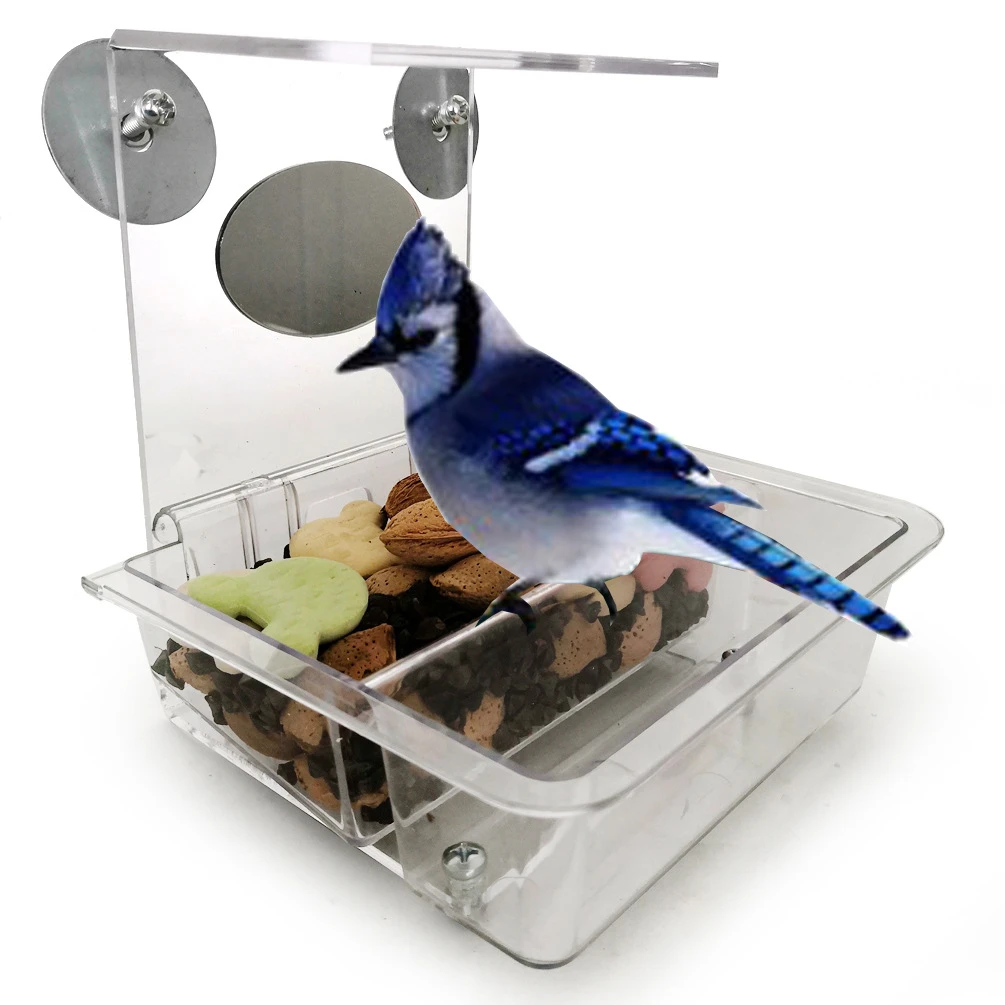 Acrylic Pet Bird Parrot toys feeder Basin with Mirror  small animals cage accessories