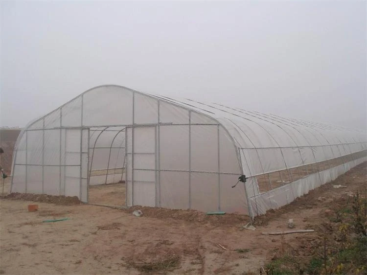 Agricultural High Tunnel Film Plastic Poly Greenhouse