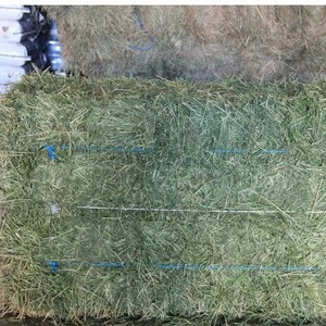 Alfalfa hay ,Lucerne hay,Alfalfa Hay Cubes and Bales