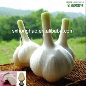 Allicin 0.5%-5% Garlic Extract