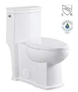 American Standard One Piece Floor Mounted Wc Toilet  SA-2197